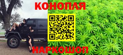 сатива Кандалакша